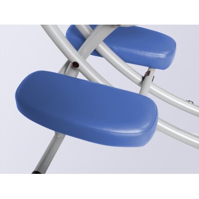 Krēsls vertikālai masāžai Prestige-Reh Navy Blue 5