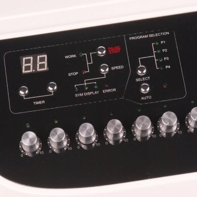 Elektrostimulācijas iekārta BR-2003 Professional Body Slimming 2