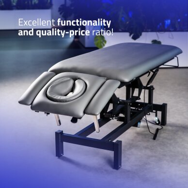 Электрический массажный стол Fortis 4 ERGO 10 Электрический массажный стол Fortis 4 ERGO 10
