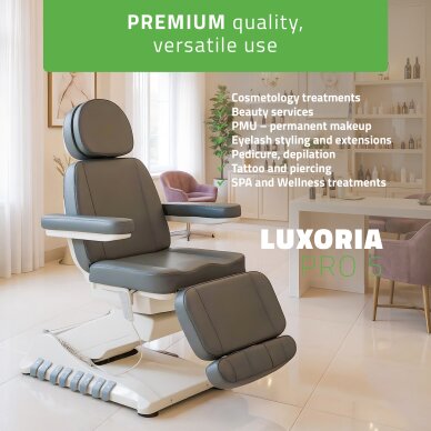 Electric beauty chair Luxoria PRO 5 Grey 1