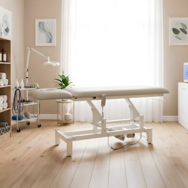 Elektrinis masažo procedūrų stalas Fortis 2 ERGO light grey 2