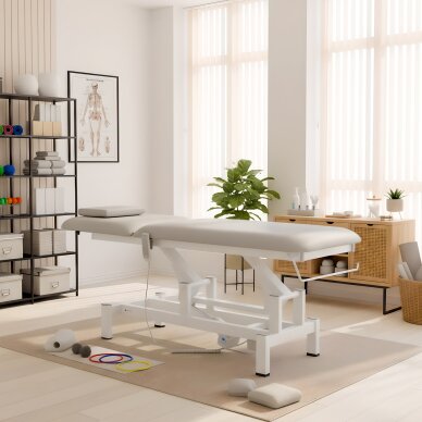 Stationary electric massage table Fortis 2 K729 Light Gray 1 Stationary electric massage table Fortis 2 K729 Light Gray 1