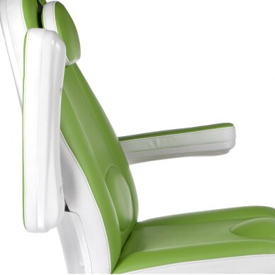 Kosmetoloogia tool MAZARO ELECTRIC ARMCHAIR 3 MOTOR GREEN 5