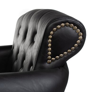 Friseurstuhl PROFESSIONAL HAIRDRESSING CHAIR ALBERTO BERLIN BLACK 5 Friseurstuhl PROFESSIONAL HAIRDRESSING CHAIR ALBERTO BERLIN BLACK 5