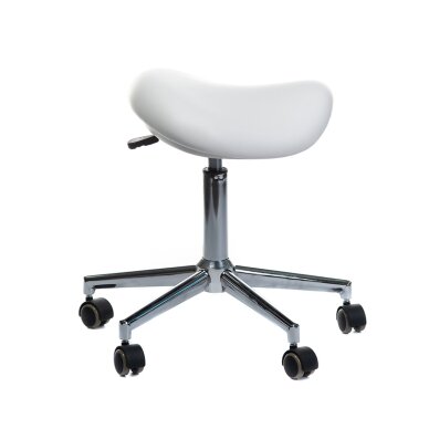 Kosmetologi jakkara Medical Stool BD-Y913 White 2 Kosmetologi jakkara Medical Stool BD-Y913 White 2