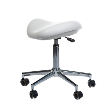 Kosmetologi jakkara Medical Stool BD-Y913 White 3 Kosmetologi jakkara Medical Stool BD-Y913 White 3