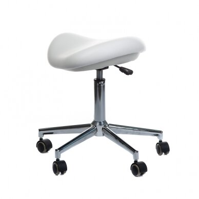Kosmetologinė meistro kėdutė Medical Stool BD-Y913 White 3