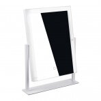 Make-up mirror with LED light NEW YORK 37x25cm (1)