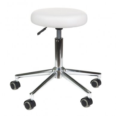 Tool meistri jaoks Medical Stool BD-Y912 White