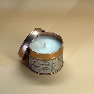Aromatische Sojawachskerze, schwarzer Bernstein + wilde Primel, 100 ml 2