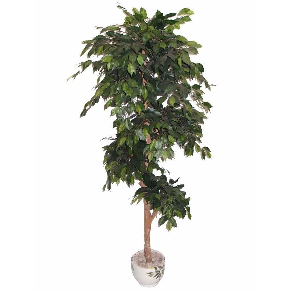 Kunstlik taim Ficus PLY 180cm Kunstlik taim Ficus PLY 180cm