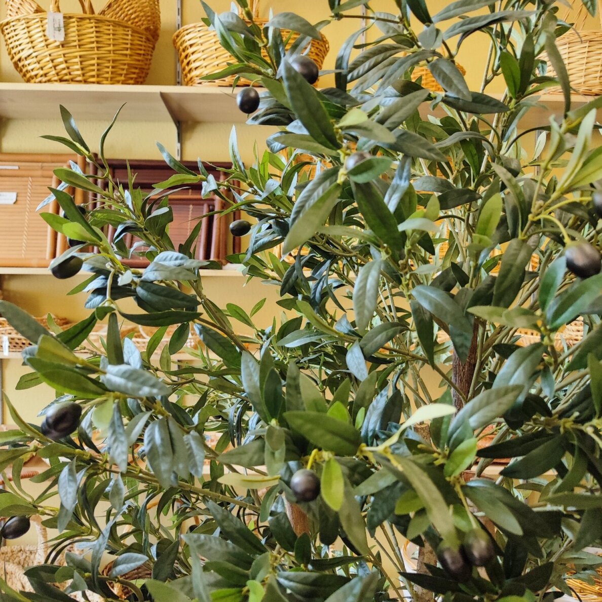 Künstliche Pflanze Olivenbaum 170cm 1