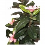 Artificial flower Magnolia 120cm