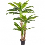 Sztuczna roślina Banan 240cm