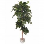 Kunstlik taim Ficus PLY 180cm