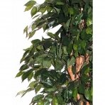Искусственное растение Фикус MEZZO 180cm