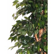 Artificial plant Ficus MEZZO 180cm