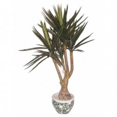 Mākslīgais augs Dracena 150cm
