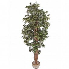 Keinotekoinen kasvi Ficus FOGLIAME 180cm