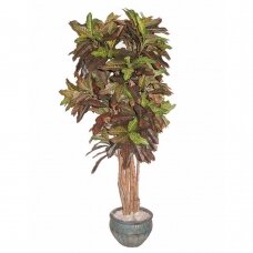 Mākslīgais augs Croton 170cm