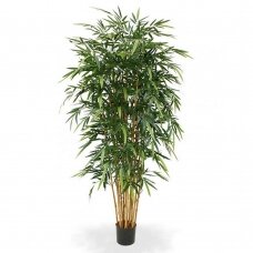 Dirbtinis augalas Bambukas 210cm