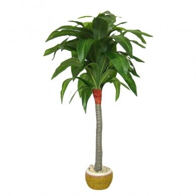Dirbtinis augalas Dracena 110cm