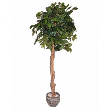 Sztuczna roślina Ficus PRAETEXTUS 150cm