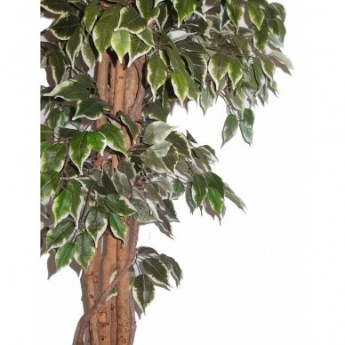 Sztuczna roślina Ficus FOGLIAME 180cm 2