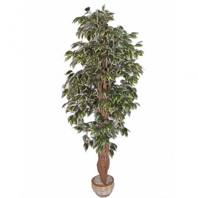 Kunstpflanze Ficus FOGLIAME 180cm