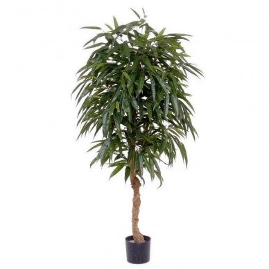 Mākslīgais augs Longifolia 150cm