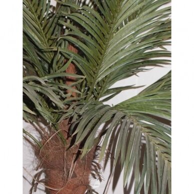 Kunstpflanze Palme 180cm 1