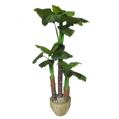 Sztuczna roślina Taro 170cm