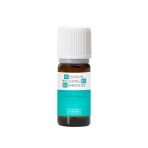 Organic essential oil Eucalyptus