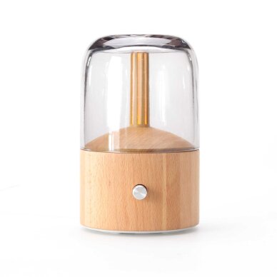 Verdampfer für ätherische Öle Lanaform Davy Mist 1
