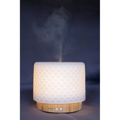 Essential oil diffuser Lanaform Moya 3