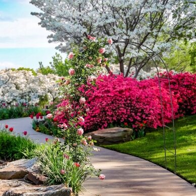 Flower arch - metal garden pergola Sonet 4