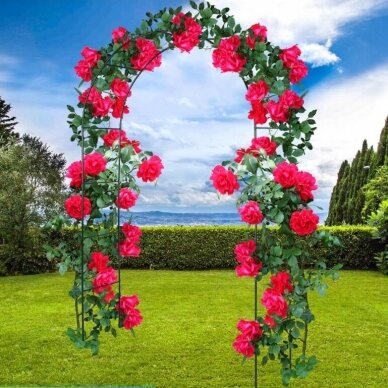 Flower arch - metal garden pergola Sonet 1