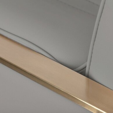Kampaamotuoli HAIR SYSTEM HAIRDRESSING CHAIR ACRI BIEGE GOLD 5