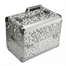 Kosmetikos priemonių lagaminas Professional Style XL, sidabrinė (1)