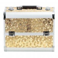 Kosmetikos priemonių lagaminas Professional Style XL, Gold