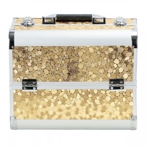 Kosmētikas maciņš Professional Style XL, Gold