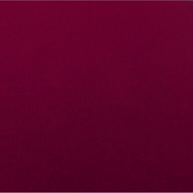 Kosmētikas lāde Professional Style Purple 5 Kosmētikas lāde Professional Style Purple 5