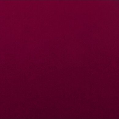 Kufer na kosmetyki Professional Style Purple 5
