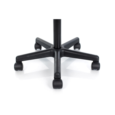 Kosmetoloģijas taburete Professional Massage Master with Backrest Black 10