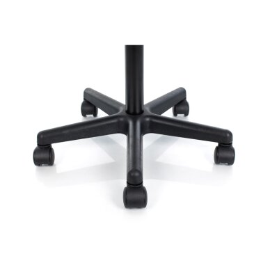 Kosmetologinė meistro kėdė Professional Massage Master with Backrest Black 10