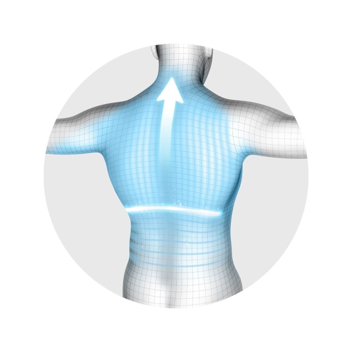Masažinė sėdynė su kūno skenavimo funkcija Lanaform Bodyscan Massager 5 Masažinė sėdynė su kūno skenavimo funkcija Lanaform Bodyscan Massager 5