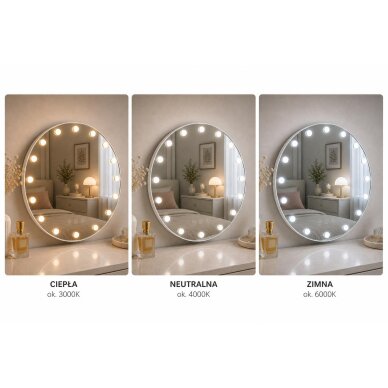 LED-valgusega meigipeegel HOLLYWOOD 70cm 2
