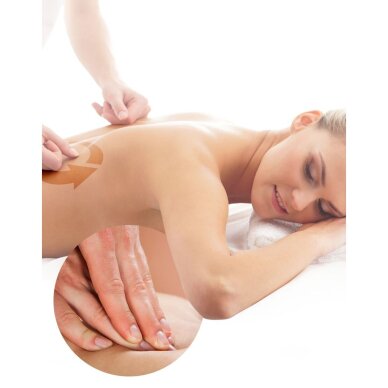 Tagasi masseerija Lanaform Shiatsu Massager 9