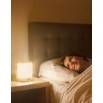 Light alarm clock with essential oil diffusor and radio Lanaform Wake Up Scents