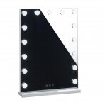 Make-up mirror with LED light HOLLYWOOD 43x58cm